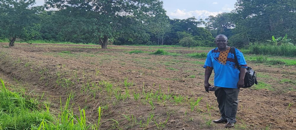 Njala University Administration Revives Lower Nursery Farm for Year-Round Vegetable Production